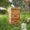 Honey Keeper Beehive 10 Frame Complete Box Kit Coated in 100% Beeswax (Waxed Boxes, 2 Deep and 1 Medium) with Wooden Frames and Waxed Foundations for Langstroth Beekeeping